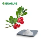 순수 알파 알부틴 분말