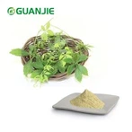 Gynostemma 추출 분말