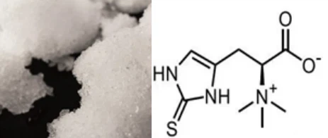 bulk ergothioneine bulk ergothioneine